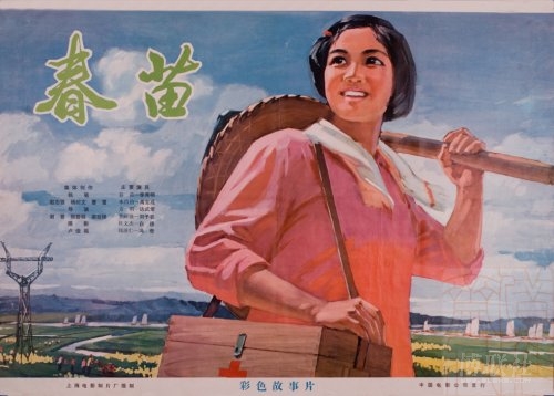 新罕布什尔大学student card